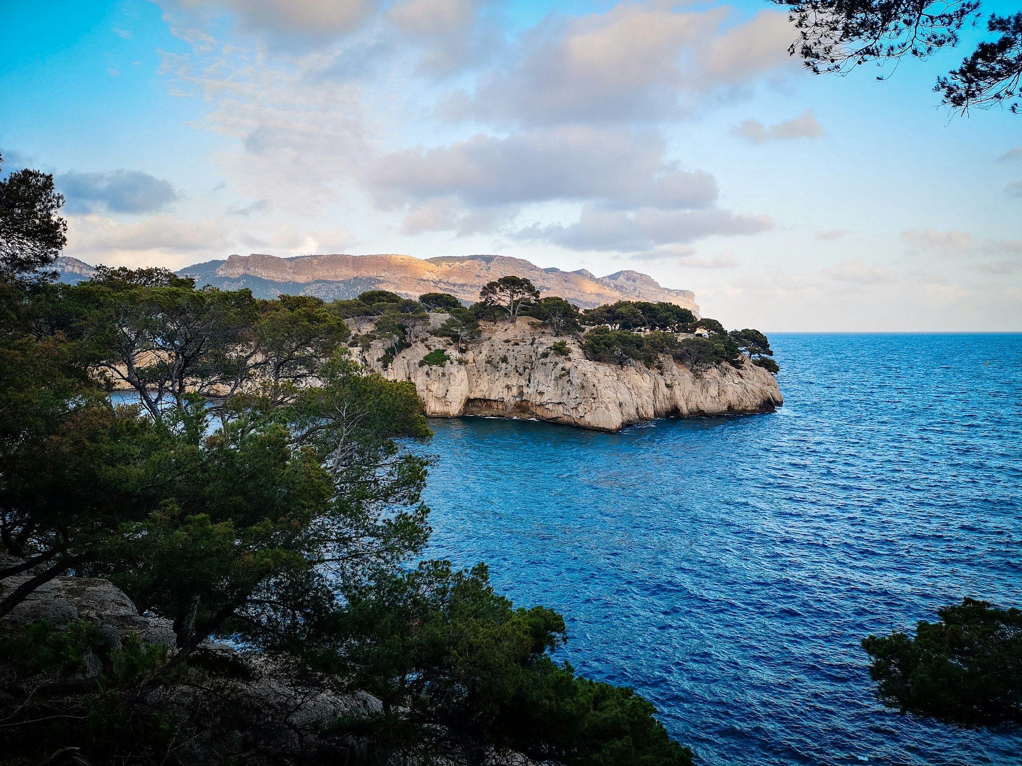 Une pointe de calcaire couverte de pins, face au large